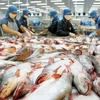 泰国增加从越南的查鱼进口