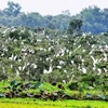 越南有效实施生物圈保护区内的生物多样性保护工作