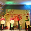 越南驻外大使馆纷纷举行2023年迎新春活动 增进越南人之间的团结暖人心