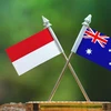 印度尼西亚和澳大利亚合作加强公职人员能力建设