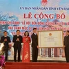 安沛省东光庙会被列入国家级非物质文化遗产名录