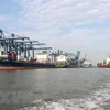 越南海事局建议西贡国际集装箱港接收超吨位船舶