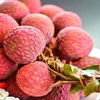 澳大利亚是越南新鲜罗望子、青枣、菠萝蜜、荔枝、李子、百香果、杨桃第一大进口国