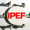 IPEF谈判：力争在5月底之前达成部分协议