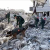 土叙强震：越南政府向土耳其和叙利亚提供紧急援助