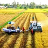 越南力争2030年农业领域吸引外国直接投资资金达250亿美元的目标