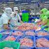 中国大量购买越南查鱼