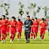 2023年亚足联U20总决赛：越南队为征服亚洲赛场的挑战做好准备