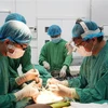 大水镬医院和越德医院的医师队伍努力进行器官移植