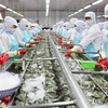 今年前2月越南水产品产量超过118万吨