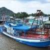 越南各地严厉打击非法捕捞行为