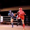 340 名运动员参加 2023 年全国泰拳俱乐部锦标赛