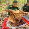 平福省平隆市发现13具烈士遗骸