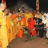 将世界上最古老的菩提树树苗从斯里兰卡迁到宁平省拜顶寺种植