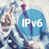 到2025年全部越南互联网用户转向IPv6