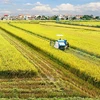  稻米产业公私伙伴关系工作组正式成立 
