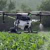河内推广无人机在农业生产中的应用