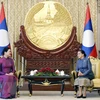 越南-老挝两国加强妇女联合会之间的合作 