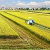 越南农业与农村发展部部长黎明欢：农业经济离不开合作社
