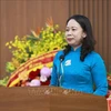 越南国家副主席武氏映春出席越南和平与发展基金会成立20周年庆典