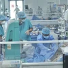 4月13日，越南新增新冠肺炎确诊病例增至497例