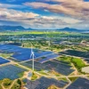 越南努力克服过渡性可再生能源项目定价方面存在的不足