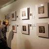 美国画家在岘港市举办画展