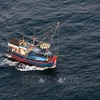 越南渔业协会反对中国单方面在东海禁渔