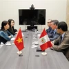 秘鲁总统高度评价越南与秘鲁的双边合作关系