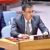 越南强调所有国家都有责任遵守《联合国宪章》和国际法