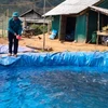 莱州省三唐县发展冷水养鱼
