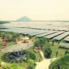 安江省安好太阳能发电厂成为有趣的新鲜迷人的景观