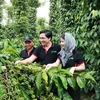 雀巢助力2.1万名越南农民向再生食品系统过渡