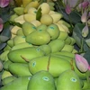 越南是韩国第三大芒果供应市场