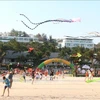平顺省藩切市热闹非凡的海滩风筝节