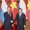 越南国会主席王廷惠会见卢森堡大公国首相格扎维埃·贝泰尔