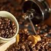 今年第一季度越南对美咖啡出口量同比增加44.5%