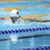 第32届东运会：越南游泳、马拉松、越武道运动员夺得金牌