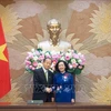 巩固越南与日本政治互信