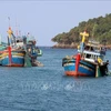 维护海岛安全 打击非法捕捞
