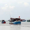 金瓯省努力打击非法捕捞作业行为