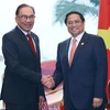 第42届东盟峰会：越南政府总理范明政会见马来西亚总理安瓦尔·易卜拉欣