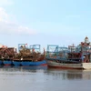 解除IUU“黄牌”：南定省加强对出入港渔船的管控力度