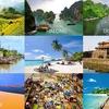 谷歌：越南旅游搜索量位居世界第11位