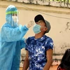 5月12日越南新增确诊病例2439例 死亡病例1例