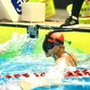 第32届东运会：越南运动员在田径、潜水和跆拳道等比赛项目夺金