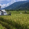 印度尼西亚与韩国签署农业合作协议
