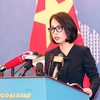 越南外交部例行记者会：越南愿与美国讨论共同关心的问题