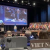 越南重申全面和负责任地履行《禁止化学武器公约》