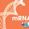 联合国开发计划署：越南迎来获得用于疫苗生产的新 mRNA 技术的机会